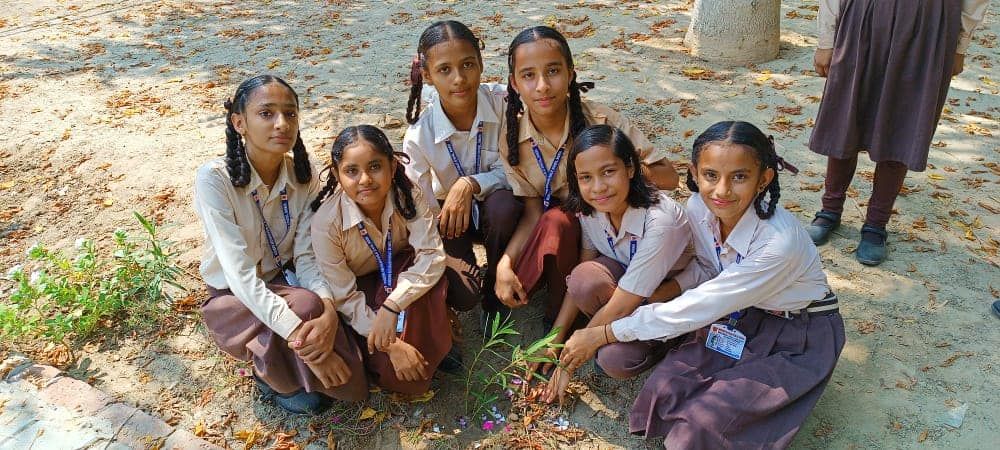 Modern Secular Public School Bhikhi Mission Hariali  4 